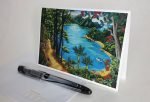 Card #2631 NZ Idyll Bark Bay